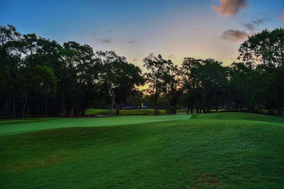 Decathlon Golfschläger 🏌️ - Die ultimative Kaufberatung