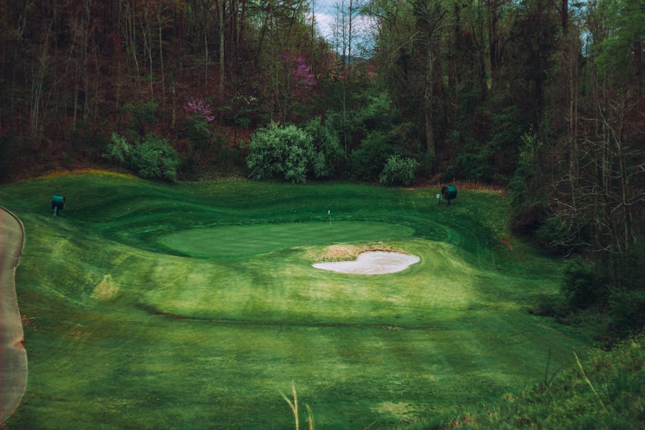 Soltau Golf 🏌️: Die perfekte Kombination aus Sport und Natur